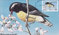 [Birds, type AE]