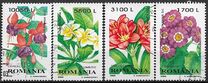 [Ornamental Plants, type HUM]