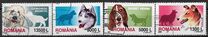 [Dogs, type HYE]