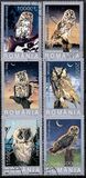 [Owls, tegund IEF]