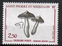 [Fungi, type IR]