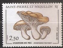 [Mushrooms, type HV]
