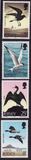 [Seabirds, тип CQ]