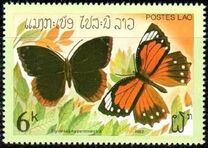 [Butterflies, loại UN]