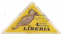[Local Birds, type HG]