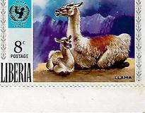 [The 25th Anniversary of UNICEF - Animals with their Young, type TL]