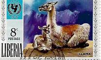 [The 25th Anniversary of UNICEF - Animals with their Young, type TL]
