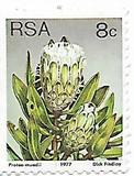 [Flora - Protea Plants, type PN]