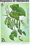 [Vegetables, type YB]