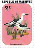 [Birds, Tip ZP]