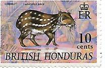 [Wildlife, type DE]
