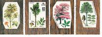 [Trees - Timber Industry, ประเภท DP]