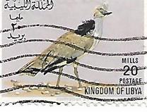 [Birds, type BL]