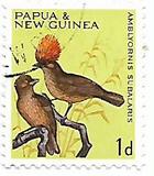 [Birds, type AV]