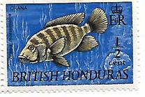 [Wildlife - Fish, tegund DT]