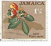 [Local Motifs, type FY]