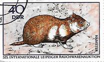 [International Fur Auction in Leipzig, type ARX]