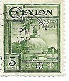 [Local Motifs, type CE]