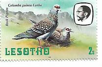 [Birds, tip KX]