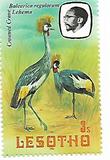 [Birds, tip KY]