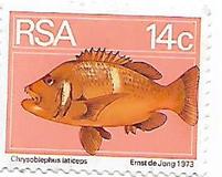 [Flora and Fauna, type NP]