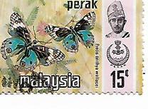 [Butterflies, type AV]