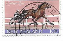 [Return of Cardigan Bay to New Zealand, Scrivi RW]