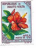 [Flowers, Tipe AZ]