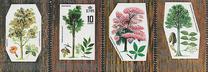 [Trees - Timber Industry, tyyppi DP]