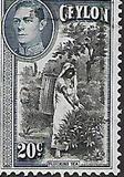 [King George VI - Local Motives, type BS]