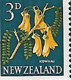 [Local Motifs - Flowers, type GV]
