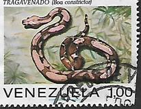 [Snakes, typ BUC]