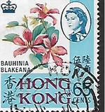 [Local Motives, type BN]