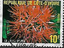 [Flowers, type QL]