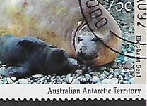 [Antarctic Wildlife, Tip CM]