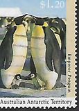 [Antarctic Wildlife, Tip CP]