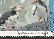 [Antarctic Wildlife, Tüüp CQ]