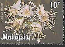 [Flowers, type D]