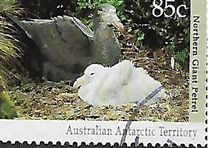 [Antarctic Wildlife, Tip CN]