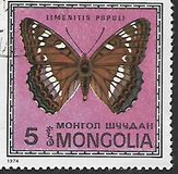 [Butterflies, Tüüp ACW]