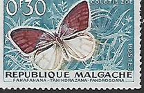 [Papillons et Cultures Agricoles, type KA]