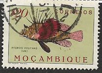 [Fish, type CB]