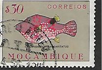 [Fish, type CD]