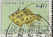 [Fish, type CE]