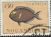 [Fish, type CF]