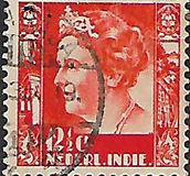 [Reina Wilhelmina., tipo AC]