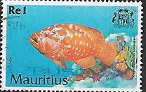[Fish, type AAT]