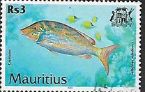 [Fish, type AAV]