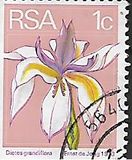 [Flora and Fauna, type NG]