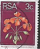 [Flora and Fauna, type NI]
